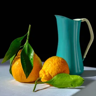 still life