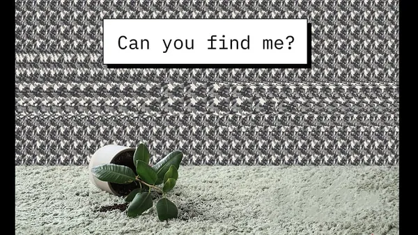 案發現場躲貓貓 Can you find me?