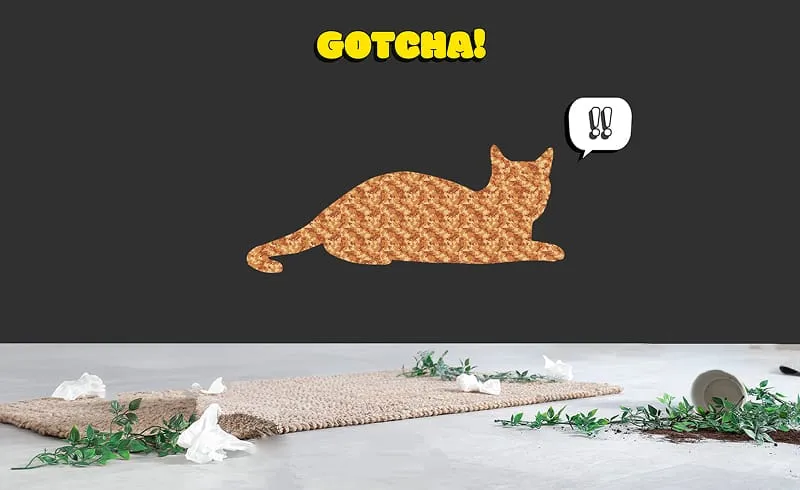 Stereogram Generator 2