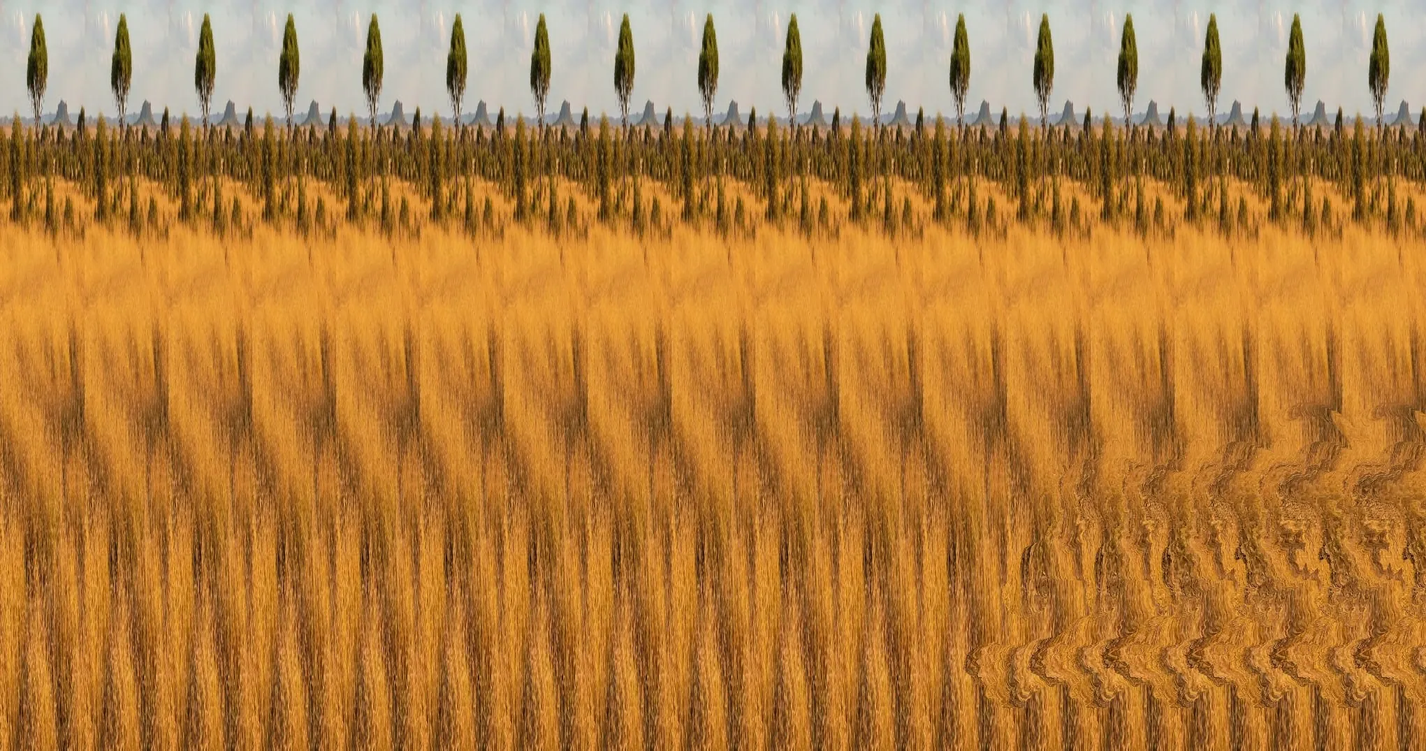 The Whole Picture Is a Lie