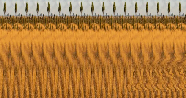 The Whole Picture Is a Lie