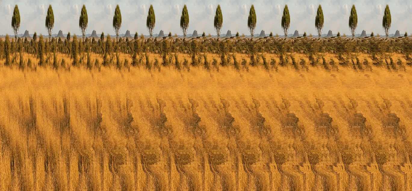 Can you find a tiger?