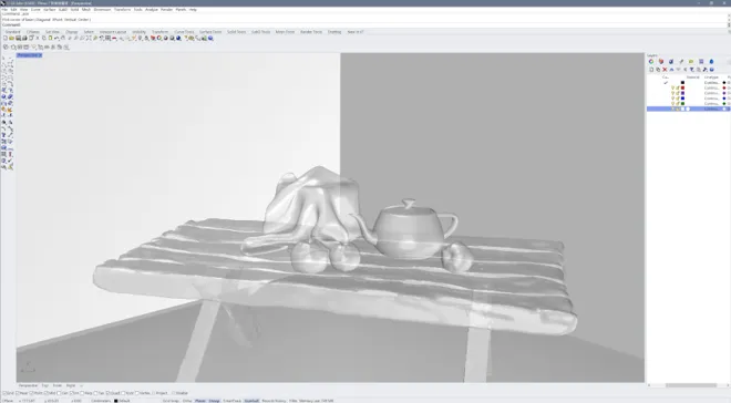 Original in rhino